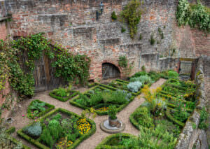 Klostergarten Heilkräuter