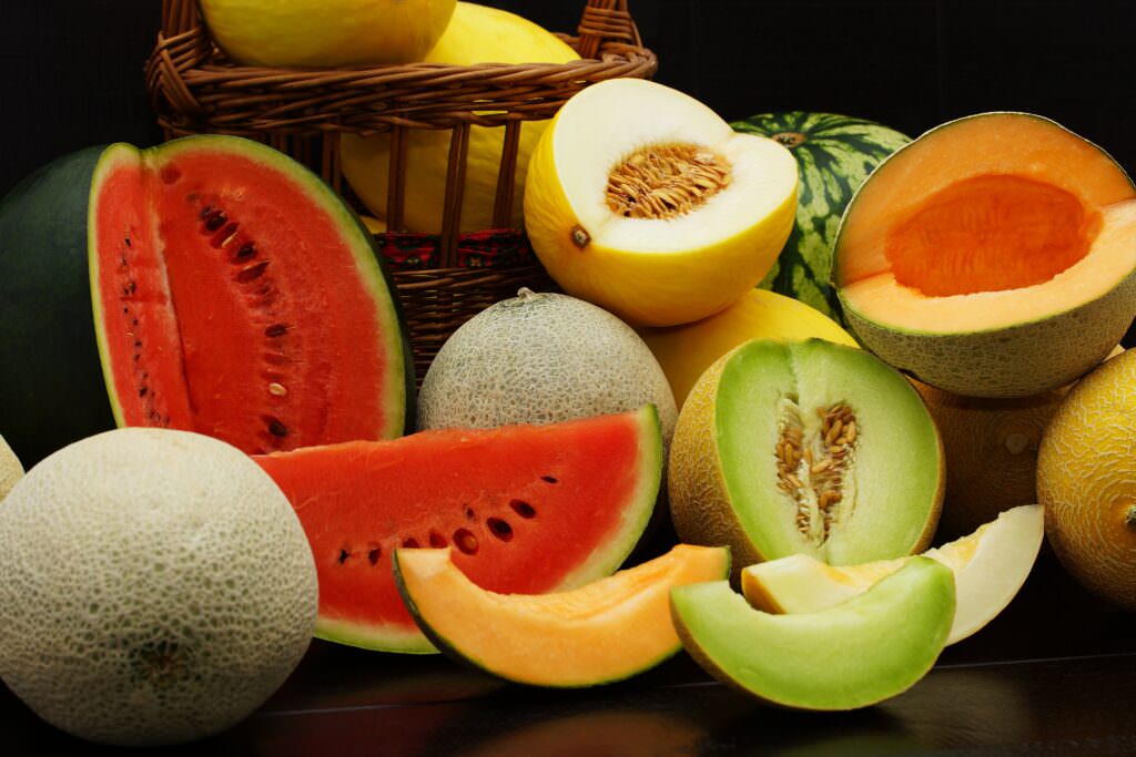 Melonen – die süße Erfrischung aus dem Gemüsebeet