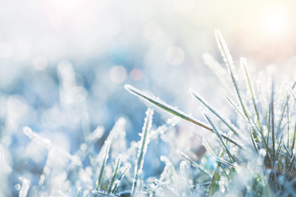 Rasen überwintern: So schützen Sie ihn vor winterlichen Temperaturen