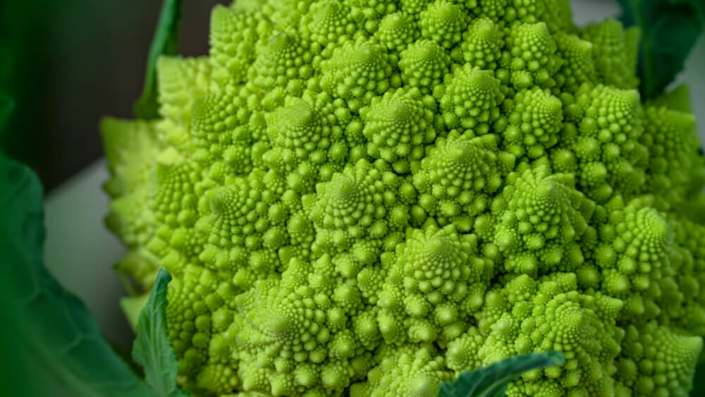 Romanesco