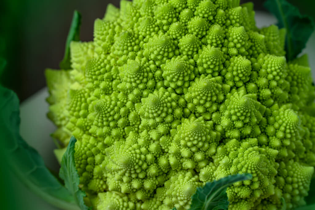 Romanesco: optisch ansprechende Blumenkohlsorte mit intensivem Geschmack