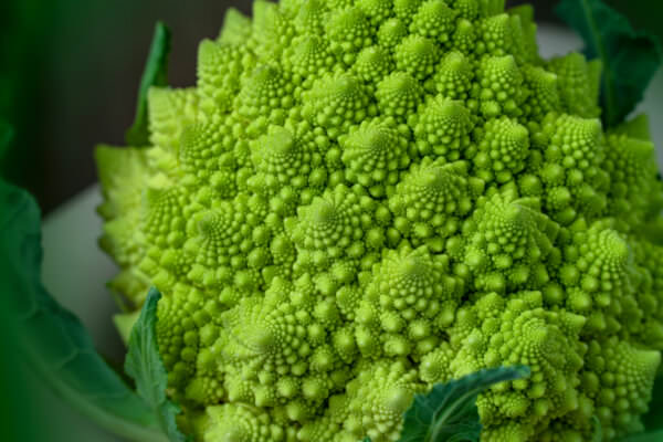 Romanesco