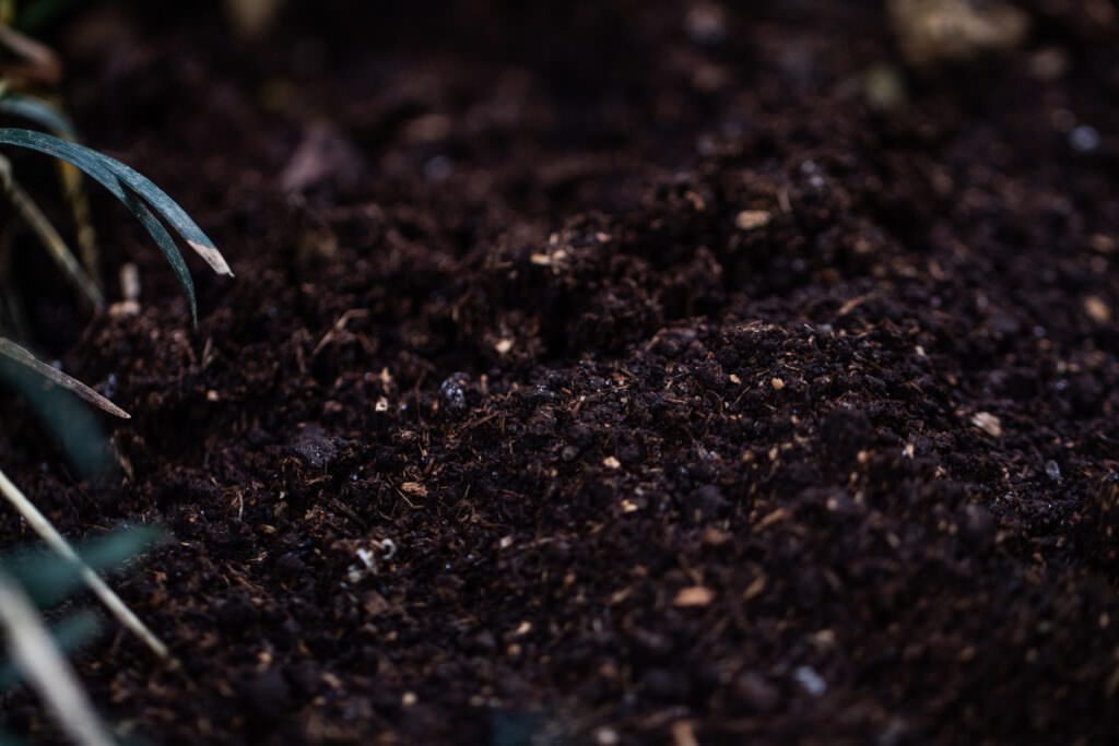 Terra Preta: schwarze Erde für gute Ernten