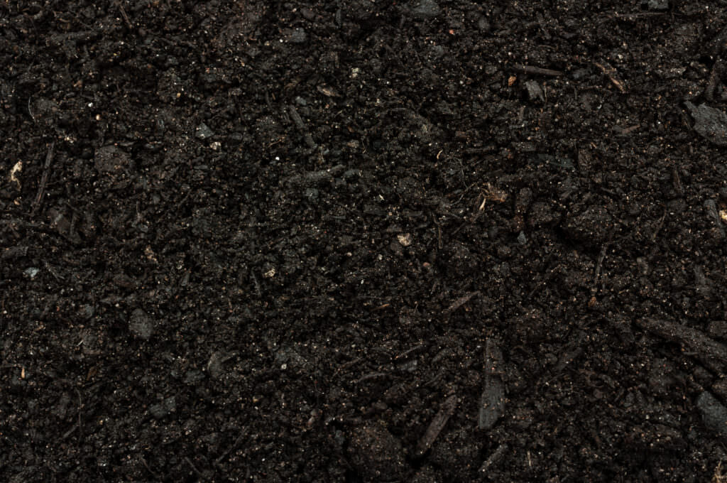 Terra Preta schwarze Erde für gute Ernten Samenhaus Gartenblog
