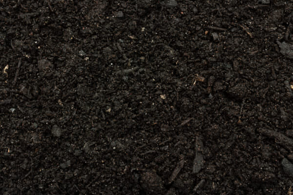 Terra Preta schwarze Erde für gute Ernten Samenhaus Gartenblog