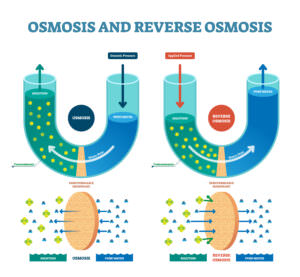 Osmose und Umkehrosmose