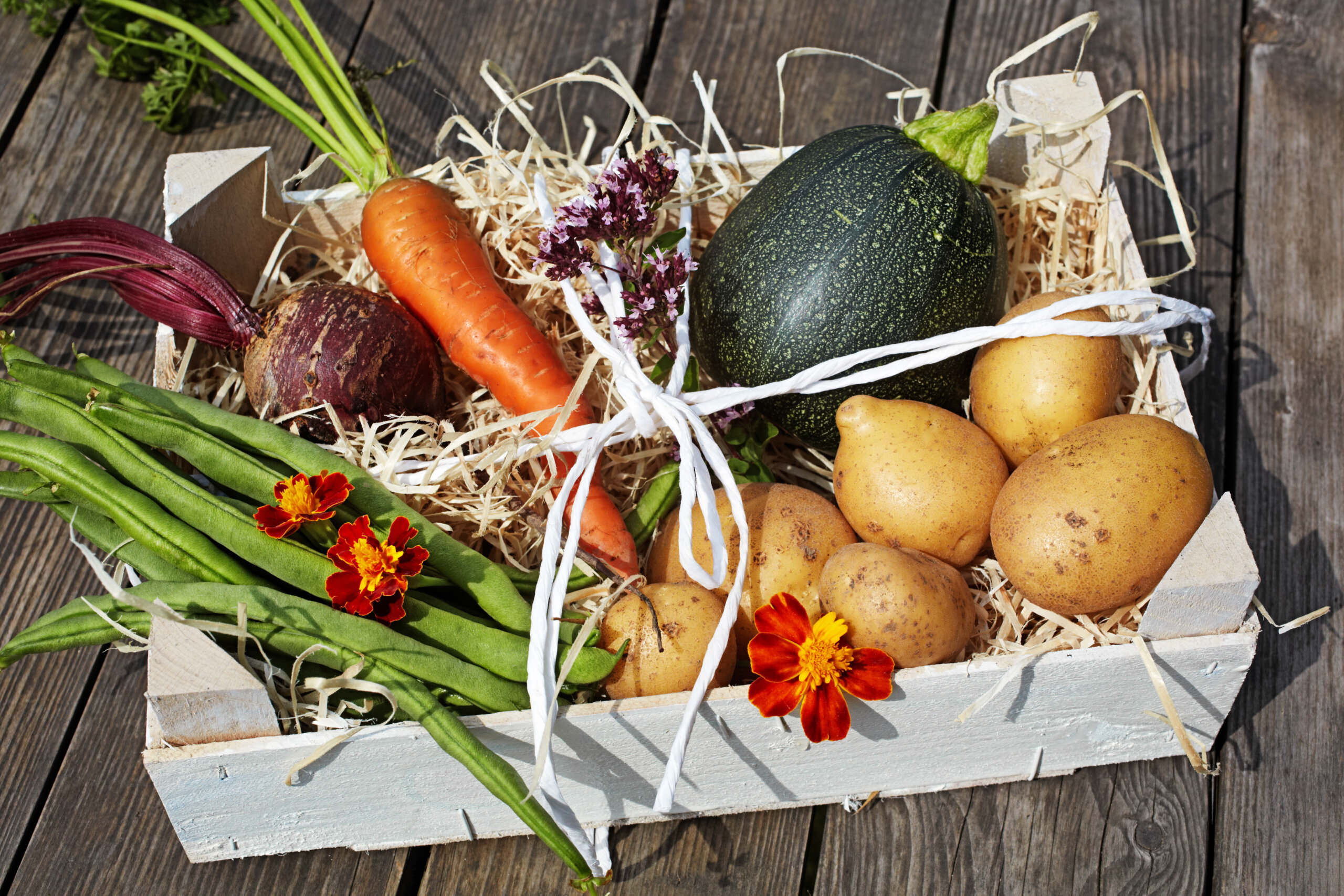 Kosten der Lohnt sich der eigene Gemüsegarten
