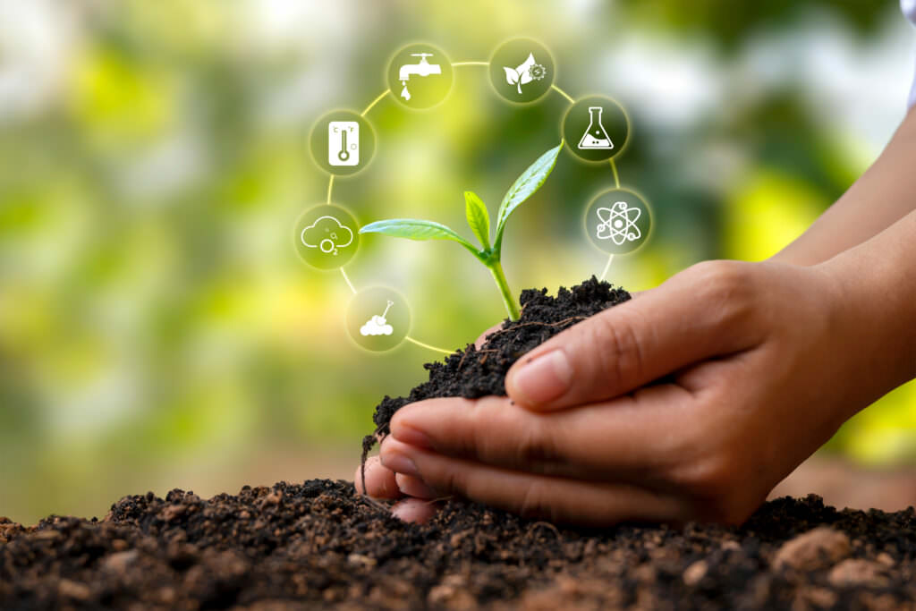 Tipps für nachhaltiges Gärtnern