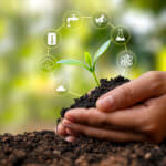 Tipps für nachhaltiges Gärtnern