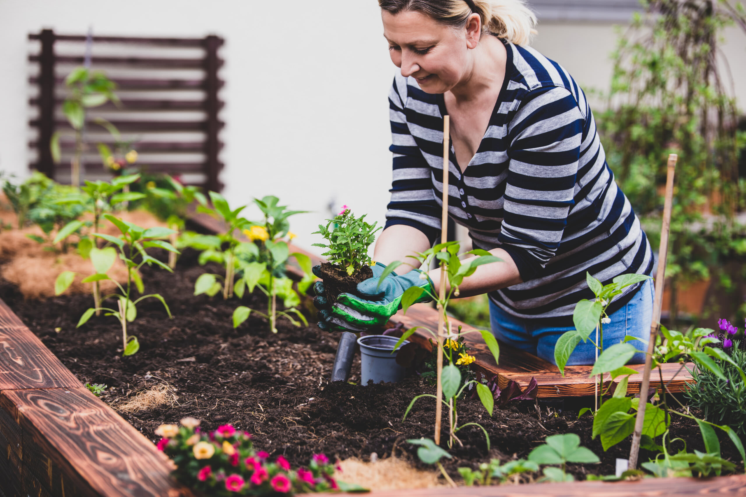 Verwendungsmglichkeiten fr den Inhalt mde gewordener Hgel- oder  Hochbeete - Samenhaus Gartenblog