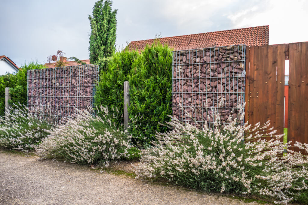 Windschutz im Gemüsegarten: Wie lässt sich der Wind aussperren?