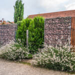 Windschutz im Gemüsegarten: Wie lässt sich der Wind aussperren?