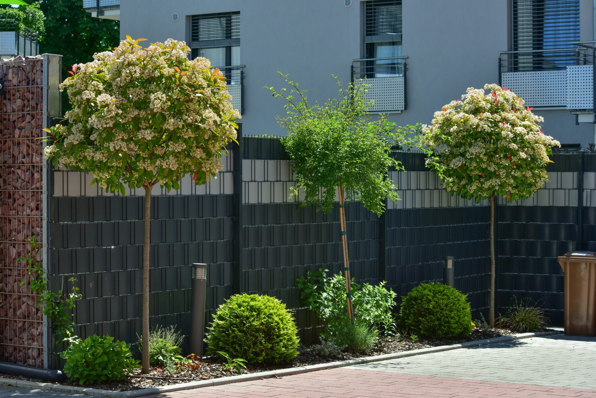 Windschutz im Gemüsegarten Wie lässt sich der Wind aussperren