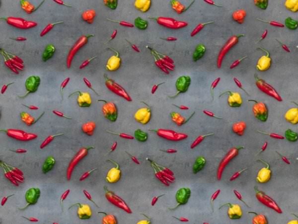 Chilisorten