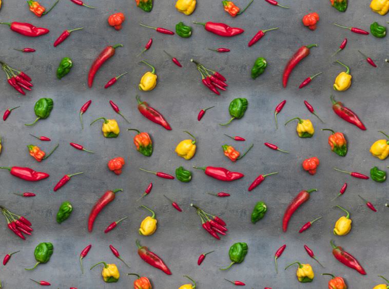 Chilisorten: So wählen Sie aus über 4.000 Sorten die richtige