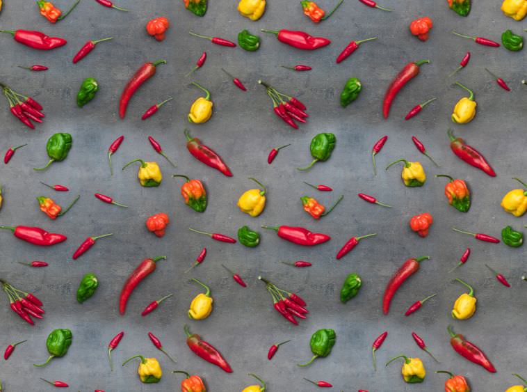Chilisorten: So wählen Sie aus über 4.000 Sorten die richtige