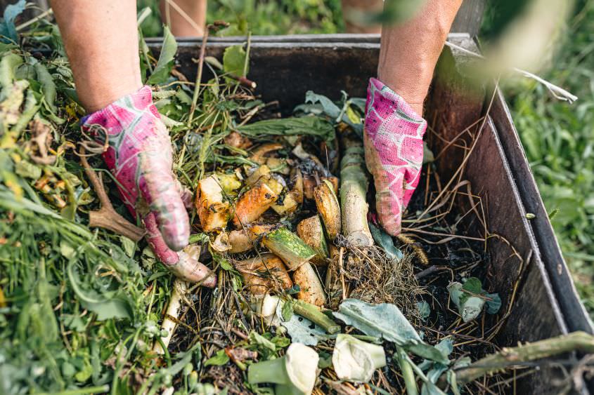 15 Tipps rund um den Kompost: Richtig kompostieren und verwenden