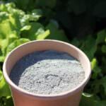 Urgesteinsmehl: natürlicher Bodenhilfsstoff für den Garten