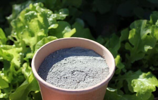 Diabas Urgesteinsmehl 25 Kg – Natürlicher Bodenverbesserer & Kompostbeschleuniger Für Garten & Rasen