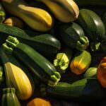 Ungewolltes Verkreuzen von Kürbis, Gurken oder Zucchini: Wie lässt es sich vermeiden?