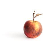 Schadbilder an Äpfeln: Bedeutung und Bekämpfung