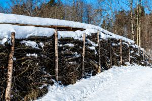 Totholzhecke Winter