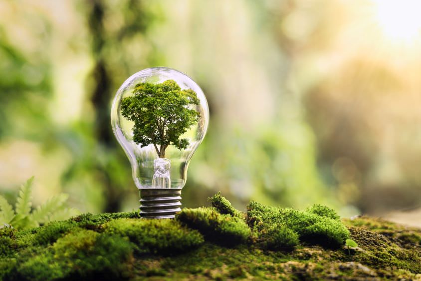 Energiesparen im Garten – diese 8 Tipps sind bares Geld wert