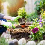12 Fehler bei der Gartenarbeit