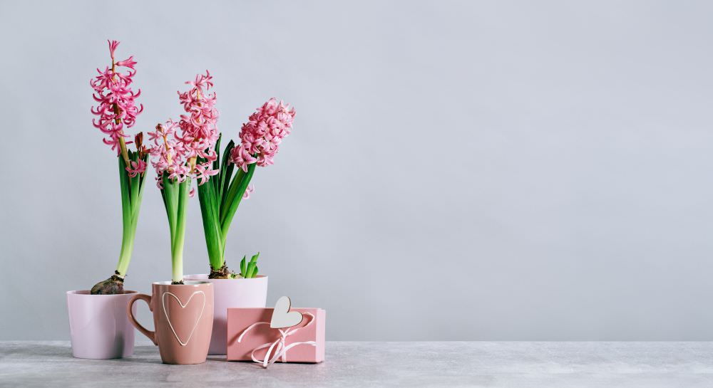 Geschenke aus dem Garten: schöne Sachen zum Aufessen oder Dekorieren