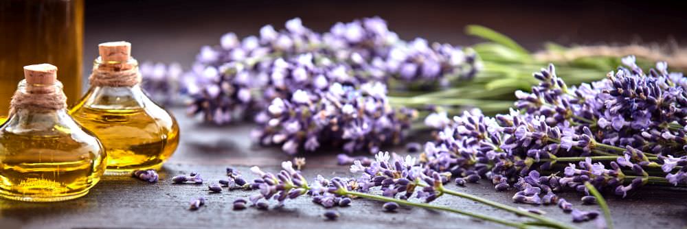 Lavendel und seine Verwendung