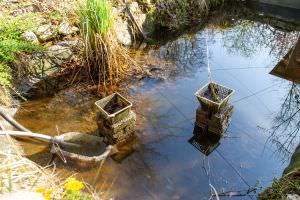 Wasserwechsel Teich