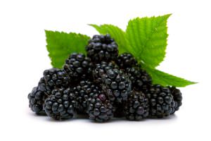 Brombeeren