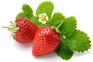 Erdbeeren