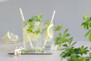Waldmeister