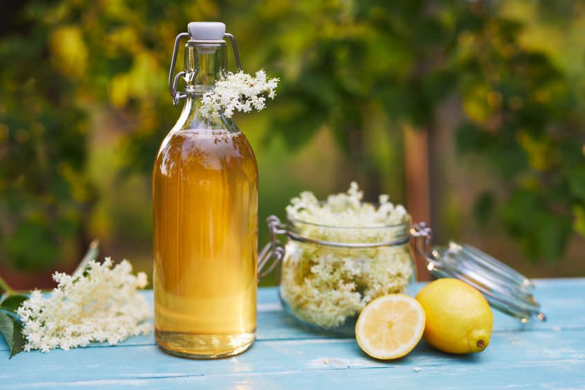 Kräuter für Limonaden und Sirup