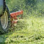 Herrlicher Duft – warum frisch gemähtes Gras riecht