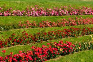 Garten Hanglage