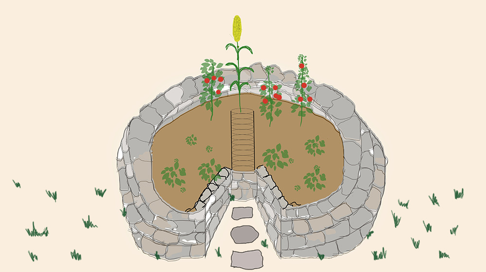 African Keyhole: Permakulturbeet für optimale Versorgung mit Kompost