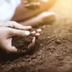 Bodentextur ermitteln: Grundlage für Bodenverbesserung
