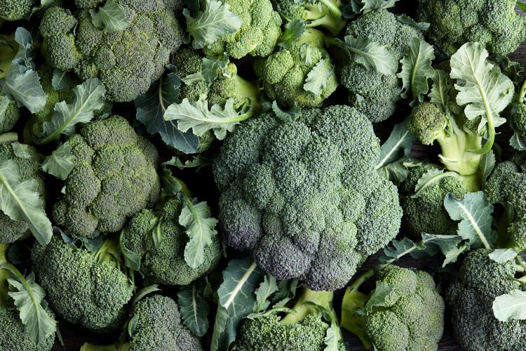 Brokkoli-Samen kaufen: So wählen Sie die richtige Sorte
