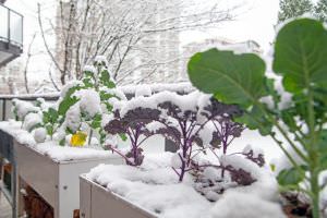 Frost Balkon