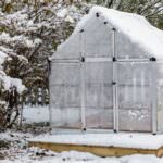 Das Gewächshaus im Winter nutzen: Was Sie jetzt noch anbauen können