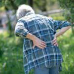 Rückenschmerzen ade – diese Heilpflanzen helfen