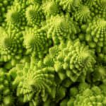 Romanesco-Sorten: So wählen Sie die idealen Samen