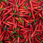 Chili, Chilli, Chile oder gar Chilies – Was ist Was und was ist richtig!