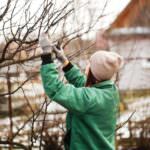 Unverzichtbare Arbeiten: Braucht ein Garten im Winter Pflege?