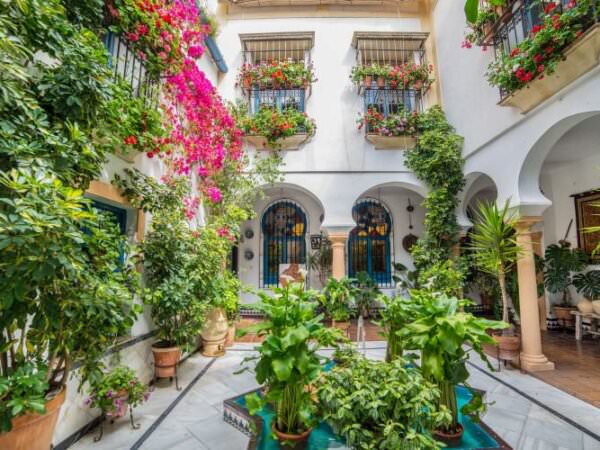 Garten in Spanien