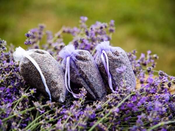 Geschenke aus dem Garten – vielseitig, ideenreich, einzigartig