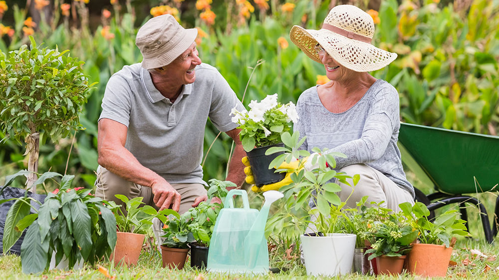 Was Oma und Opa noch wussten – 20 Gartentipps von früher