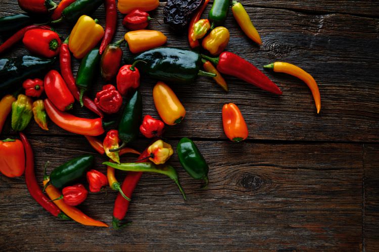 Chilis – Was ist Schärfe?